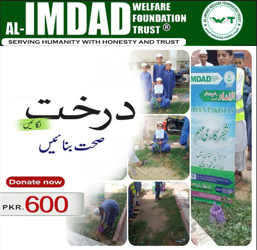 Impact Photo other-13